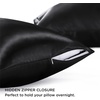 Bedsure Satin Pillowcase with Zipper, Similar to Silk Pillow Cases 2 Pack, Satin Pillow Cases Queen, Silky & Soft Beige Pillow Covers Hair and Skin, Valentines Day Gifts for Women Men, 20×30 Inches(04 – Black – Zipper)