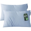 Bedsure Zipper Pillow Cases Queen Size from Rayon Derived from Bamboo | Cooling Pillowcase for Hot Sleepers, Soft & PureWoven Pillow Covers, Gift, Light Blue, 20×30 Inches(09 – Light Blue)