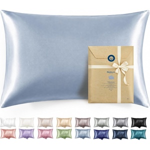 Bedsure Satin Pillowcase with Zipper, Similar to Silk Pillow Cases 2 Pack, Satin Pillow Cases Queen, Silky & Soft Beige Pillow Covers Hair and Skin, Valentines Day Gifts for Women Men, 20×30 Inches(12 – Stone Blue – Zipper)