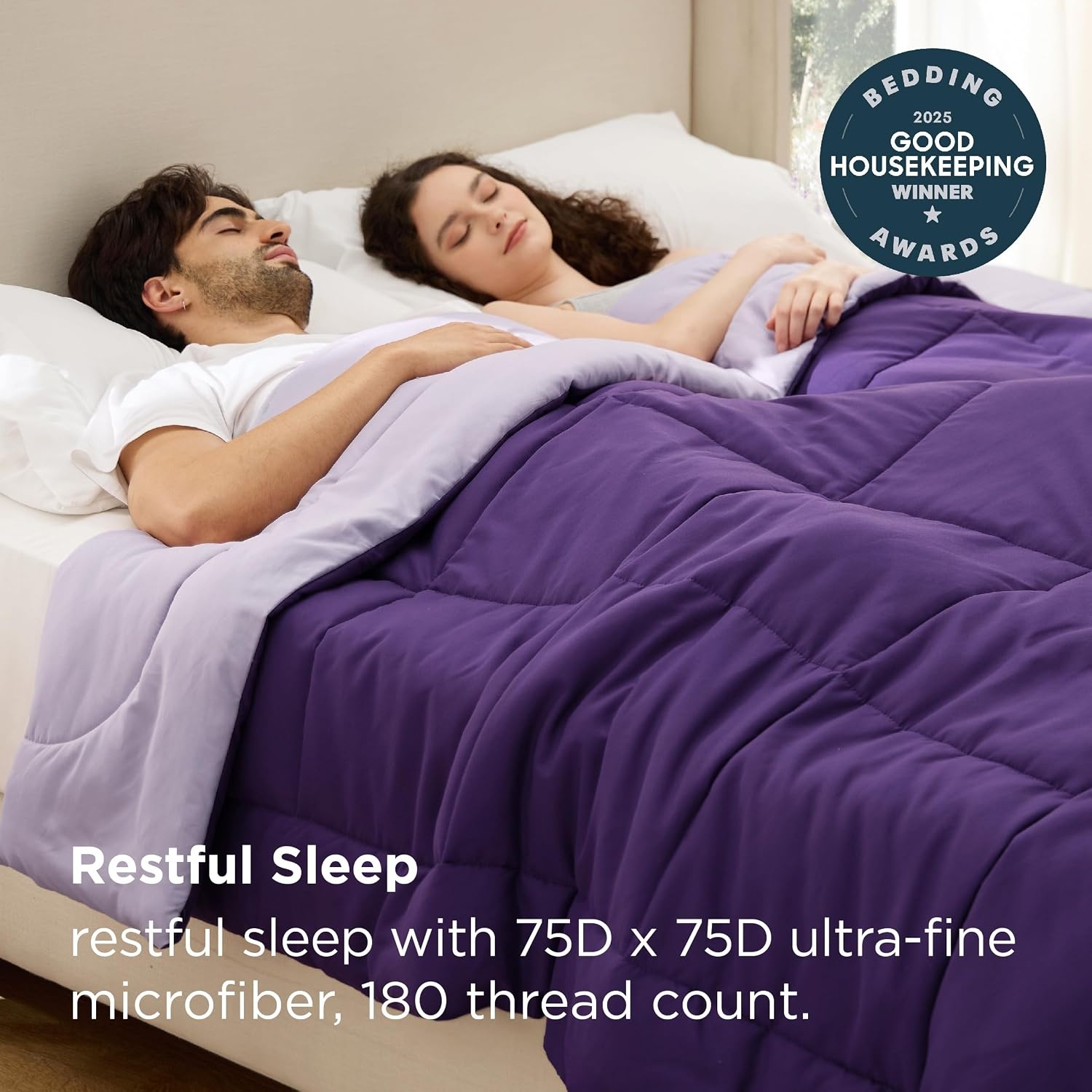 image:imageBedsure Comforters Queen Size Duvet Insert Quilted Down Alternative Comforter Ultra Soft Lightweight Comforter Blanket for Bed with 8 Tabs Machine Washable 88x88 in WhitePurplePale Purple