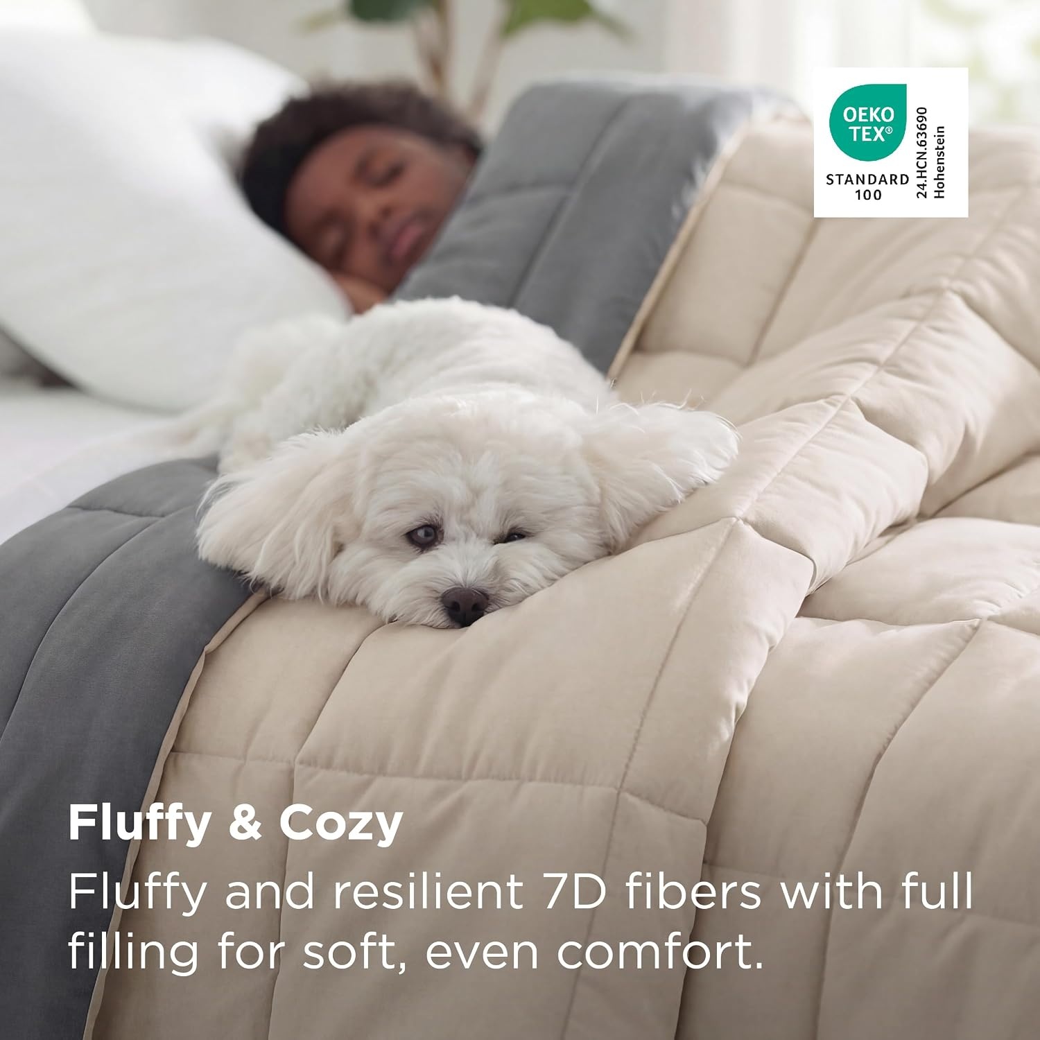 image:imageBedsure Comforters Queen Size Duvet Insert Quilted Down Alternative Comforter Ultra Soft Lightweight Comforter Blanket for Bed with 8 Tabs Machine Washable 88x88 in WhiteBeigeGrey