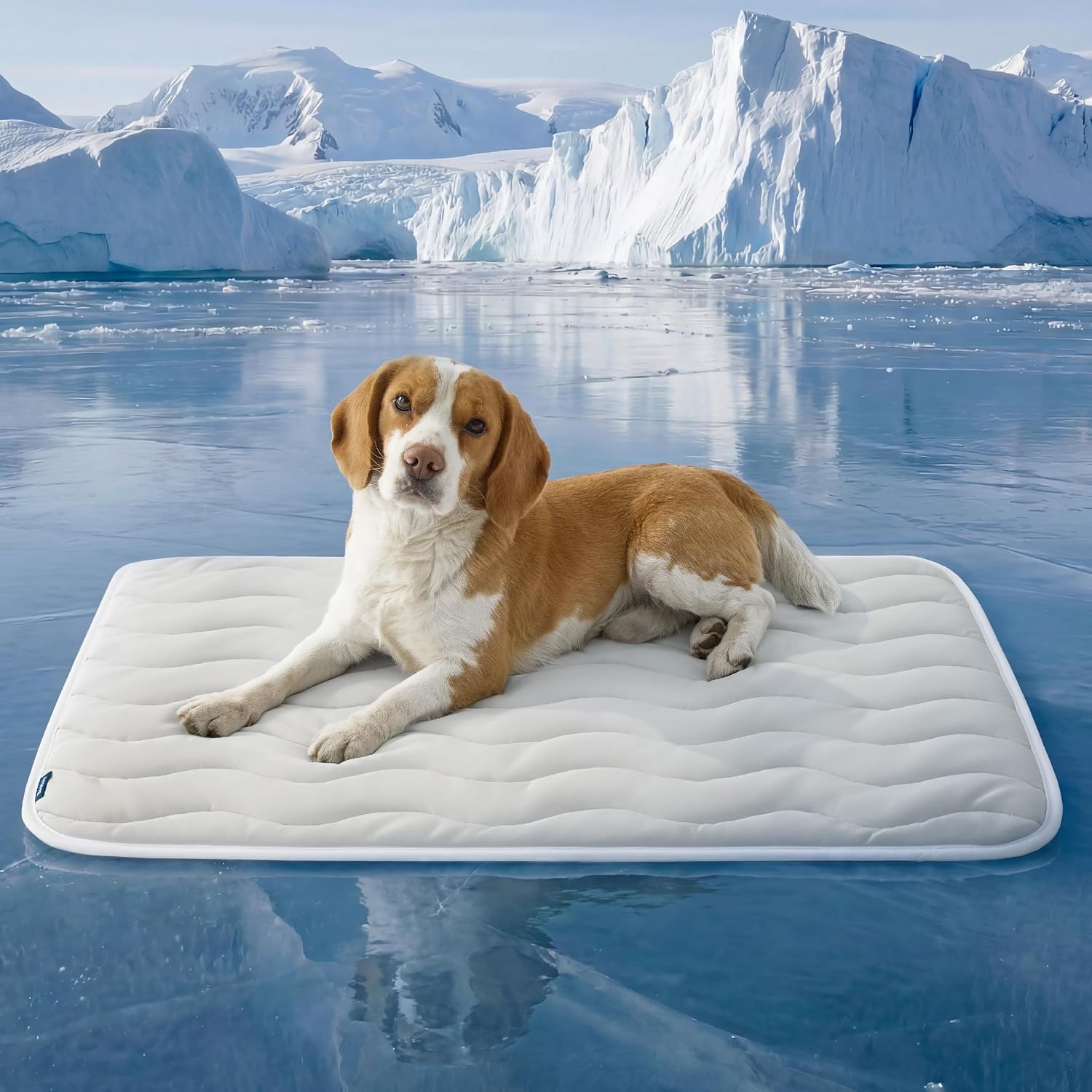 image:imageBedsure Cooling Mat for Small DogsWashable Breathable QMaxgt04 Cool Fiber 24x18In Gelfree Cooltotouch Fabric to Rapid CoolingCold Crate Pad Indoor for PetPortable Thin Kennel Mat as TopperBlueGrey