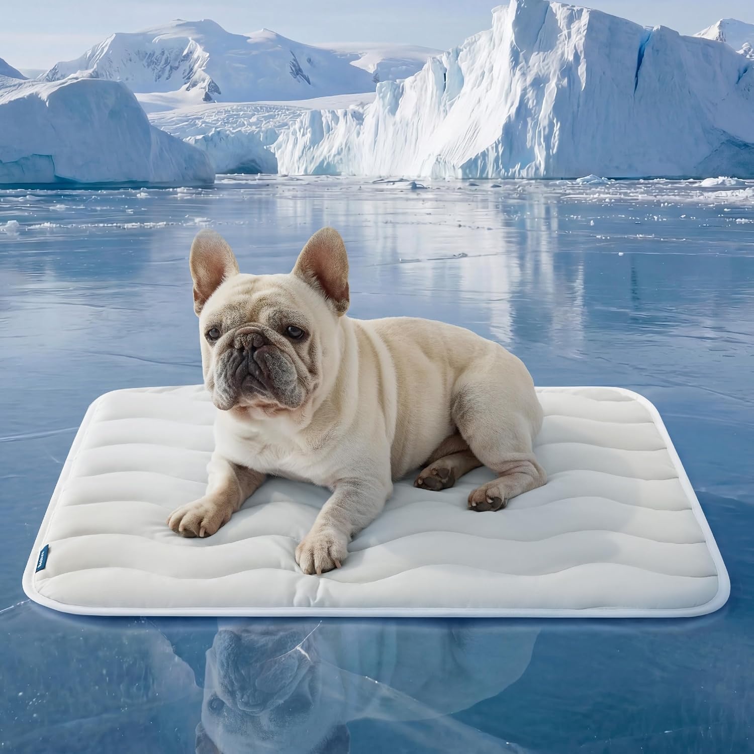 image:imageBedsure Cooling Mat for Small DogsWashable Breathable QMaxgt04 Cool Fiber 24x18In Gelfree Cooltotouch Fabric to Rapid CoolingCold Crate Pad Indoor for PetPortable Thin Kennel Mat as TopperBlueGrey