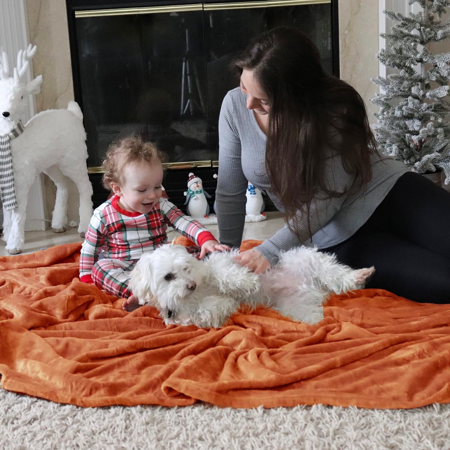 image:imageBedsure GentleSoft Fleece Bed Blankets Queen Size Grey Soft Warm Outdoor Picnic Fall Blanket for Camping Travel Lightweight Cozy AntiStatic Room Home Decor Gifts for Husband and Men 90x90 inchesOrange