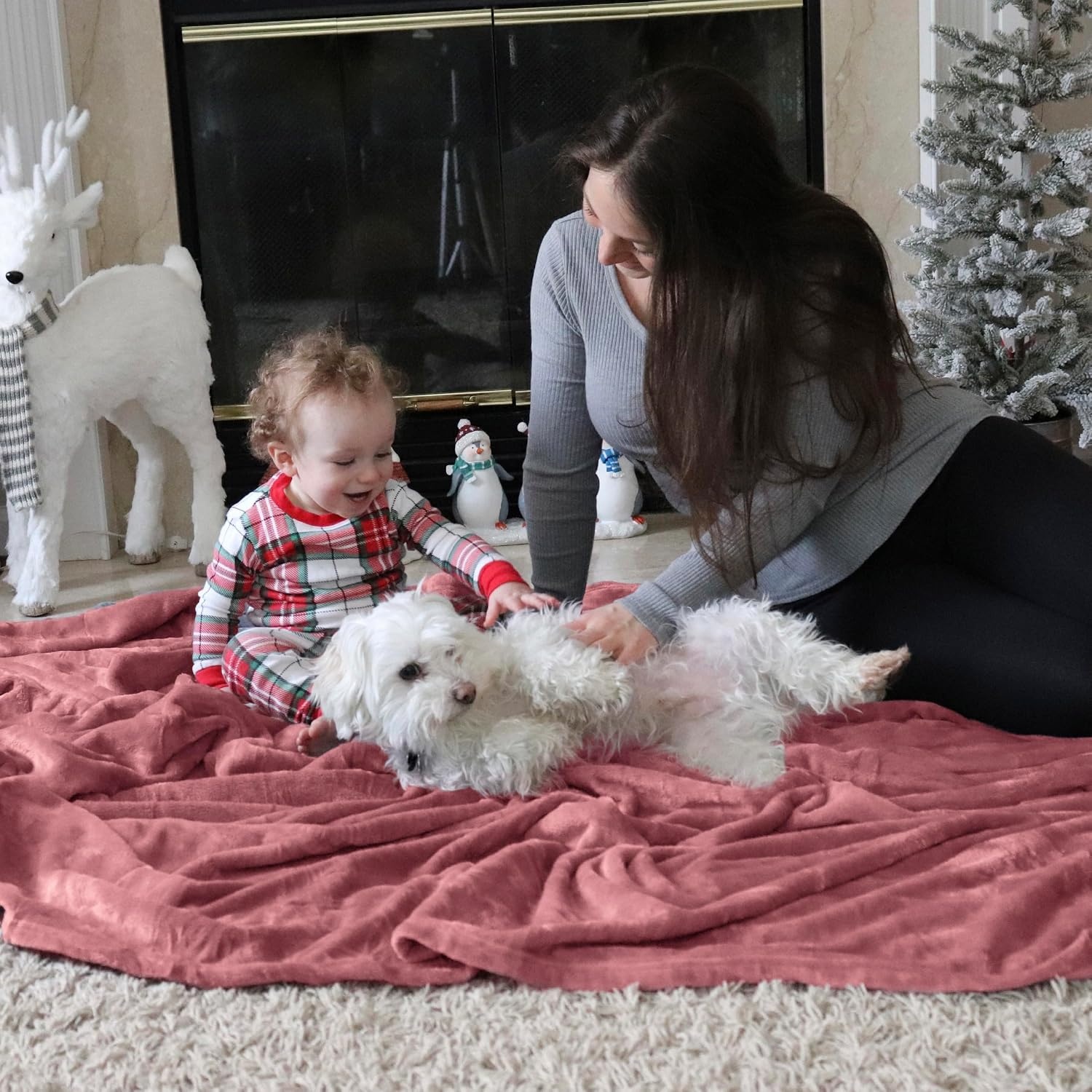 image:imageBedsure GentleSoft Fleece Bed Blankets Queen Size Grey Soft Warm Outdoor Picnic Fall Blanket for Camping Travel Lightweight Cozy AntiStatic Room Home Decor Gifts for Husband and Men 90x90 inchesDusty Rose