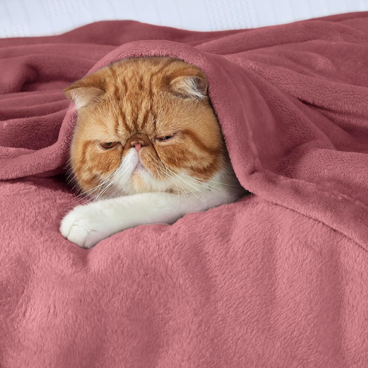 image:imageBedsure GentleSoft Fleece Bed Blankets Queen Size Grey Soft Warm Outdoor Picnic Fall Blanket for Camping Travel Lightweight Cozy AntiStatic Room Home Decor Gifts for Husband and Men 90x90 inchesDusty Rose