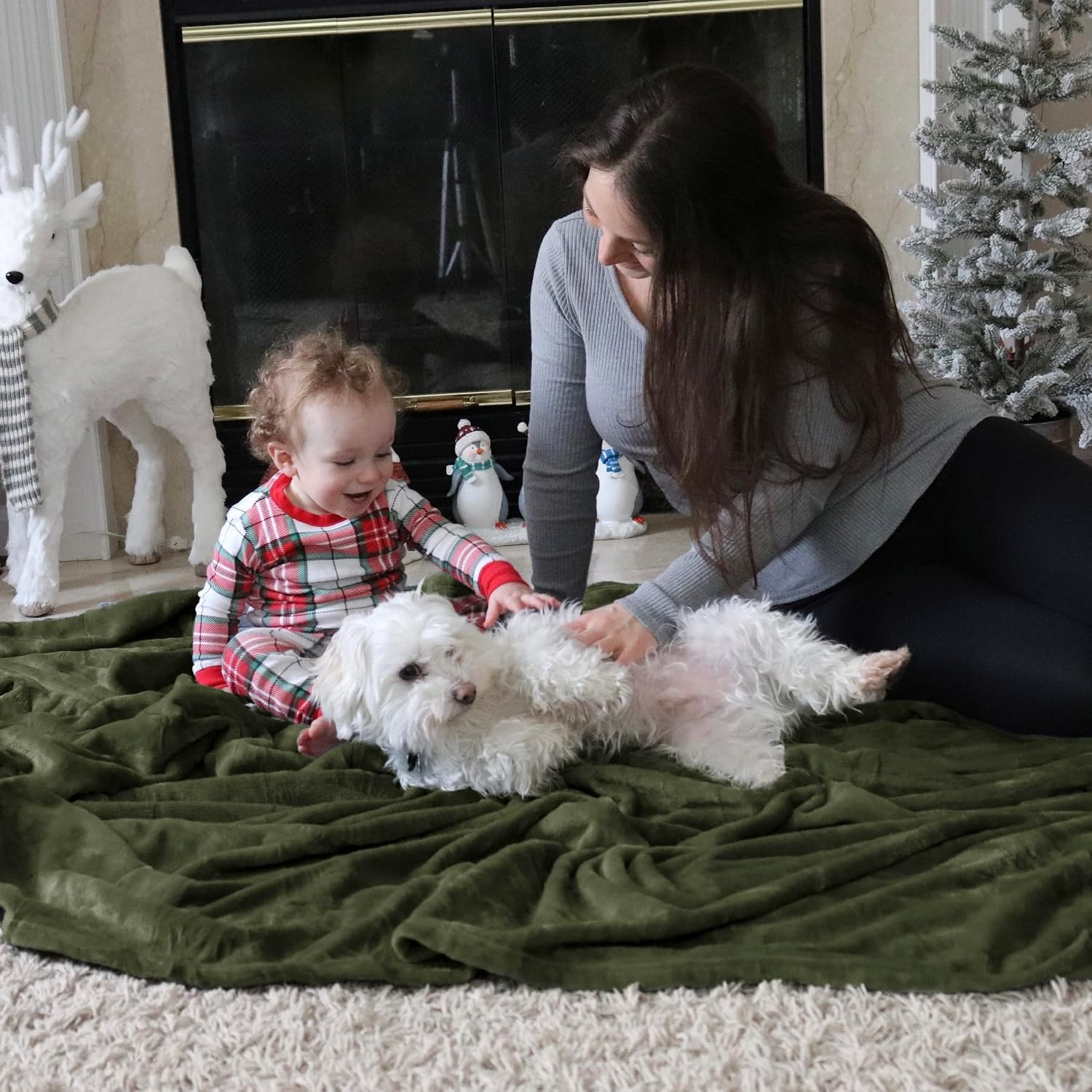 image:imageBedsure GentleSoft Fleece Bed Blankets Queen Size Grey Soft Warm Outdoor Picnic Fall Blanket for Camping Travel Lightweight Cozy AntiStatic Room Home Decor Gifts for Husband and Men 90x90 inchesOlive Green