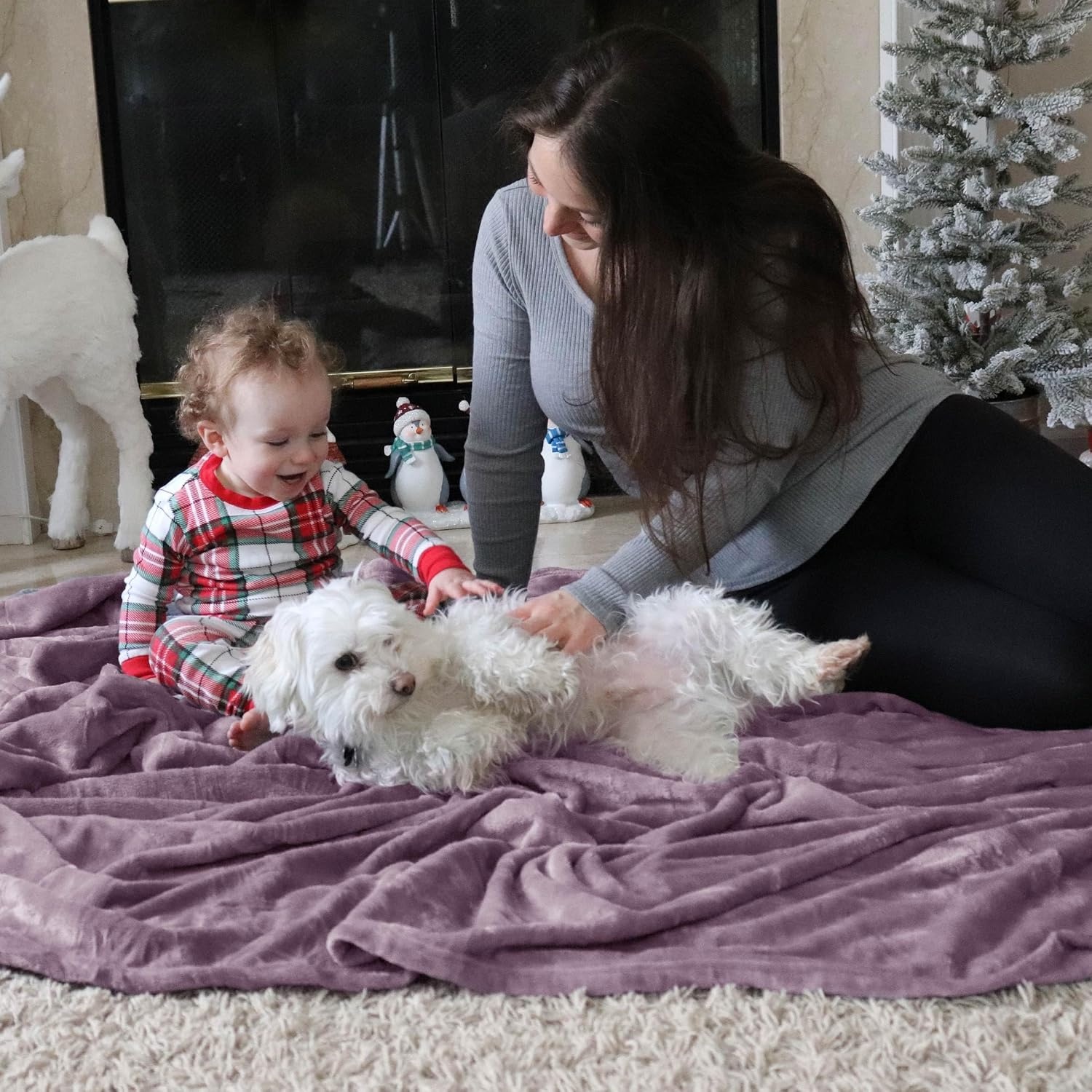 image:imageBedsure GentleSoft Fleece Bed Blankets Queen Size Grey Soft Warm Outdoor Picnic Fall Blanket for Camping Travel Lightweight Cozy AntiStatic Room Home Decor Gifts for Husband and Men 90x90 inchesFog Purple