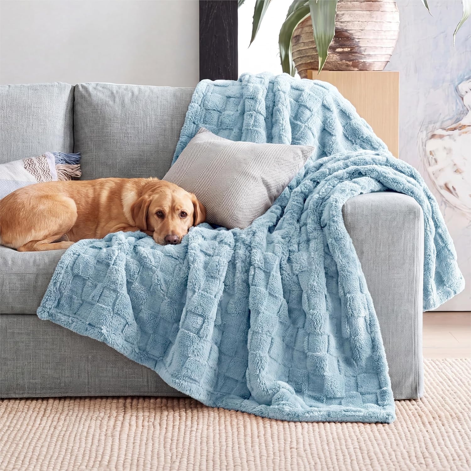 image:imageBedsure GentleSoft Sage Green Throw Blanket for Couch Checkered Cute Fleece Blankets Soft Cozy Summer Throw for Bedroom Home Decor Gifts for Mom Girls Green 50x60 InchesLight Blue