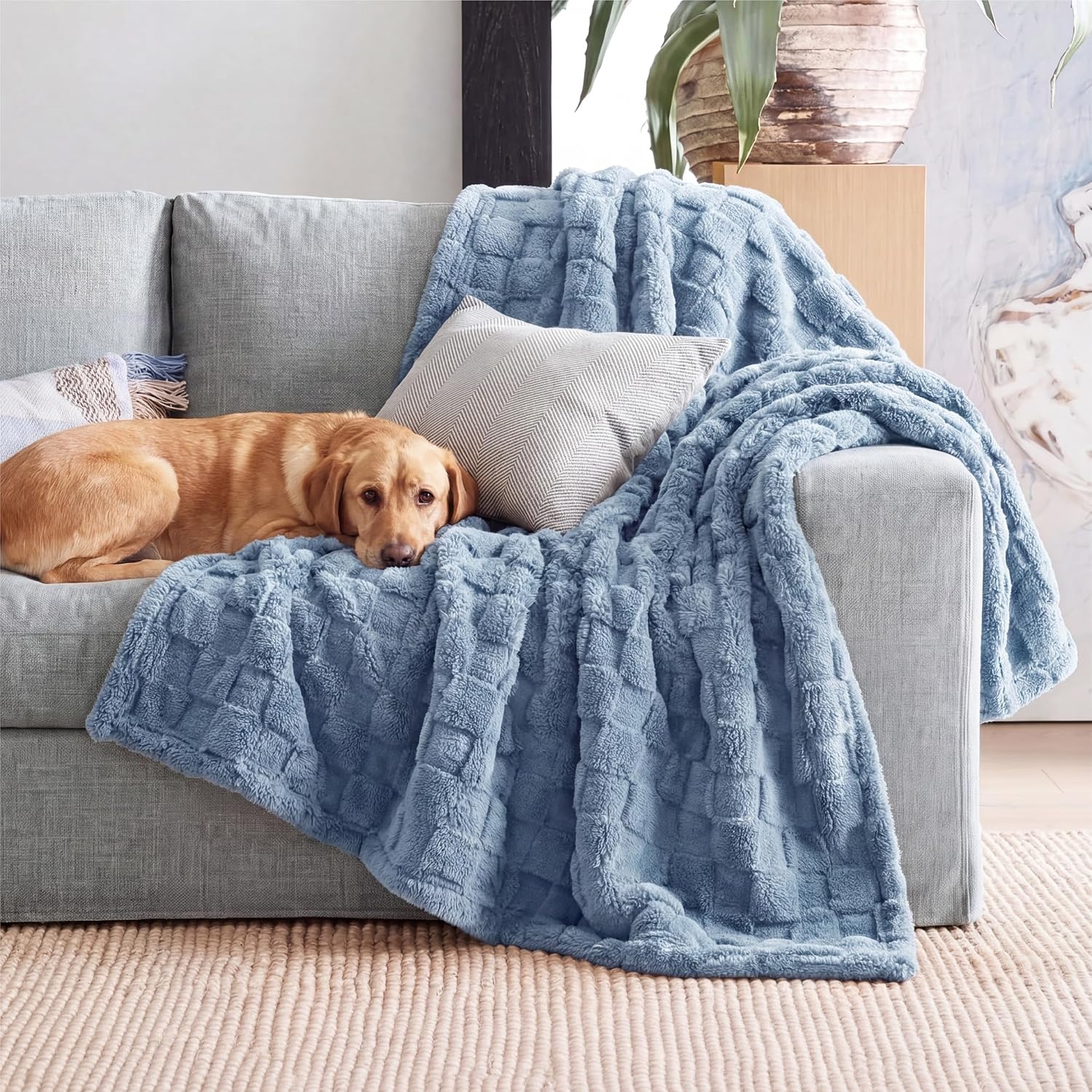 image:imageBedsure GentleSoft Sage Green Throw Blanket for Couch Checkered Cute Fleece Blankets Soft Cozy Summer Throw for Bedroom Home Decor Gifts for Mom Girls Green 50x60 Inches02 Ashley Blue