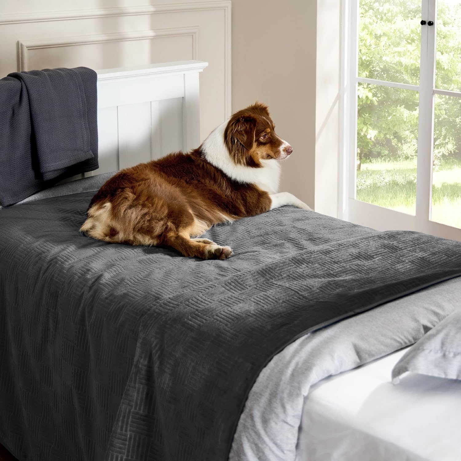 image:imageBedsure Waterproof Couch Cover for Sofa and Dogs Quick Drying 52x82IN Waterproof Blanket Washable for Large Dogs Couch Sofa Bed Cozy Lightweight Furniture Protector for Pet Cat Ash GreyCharcoal