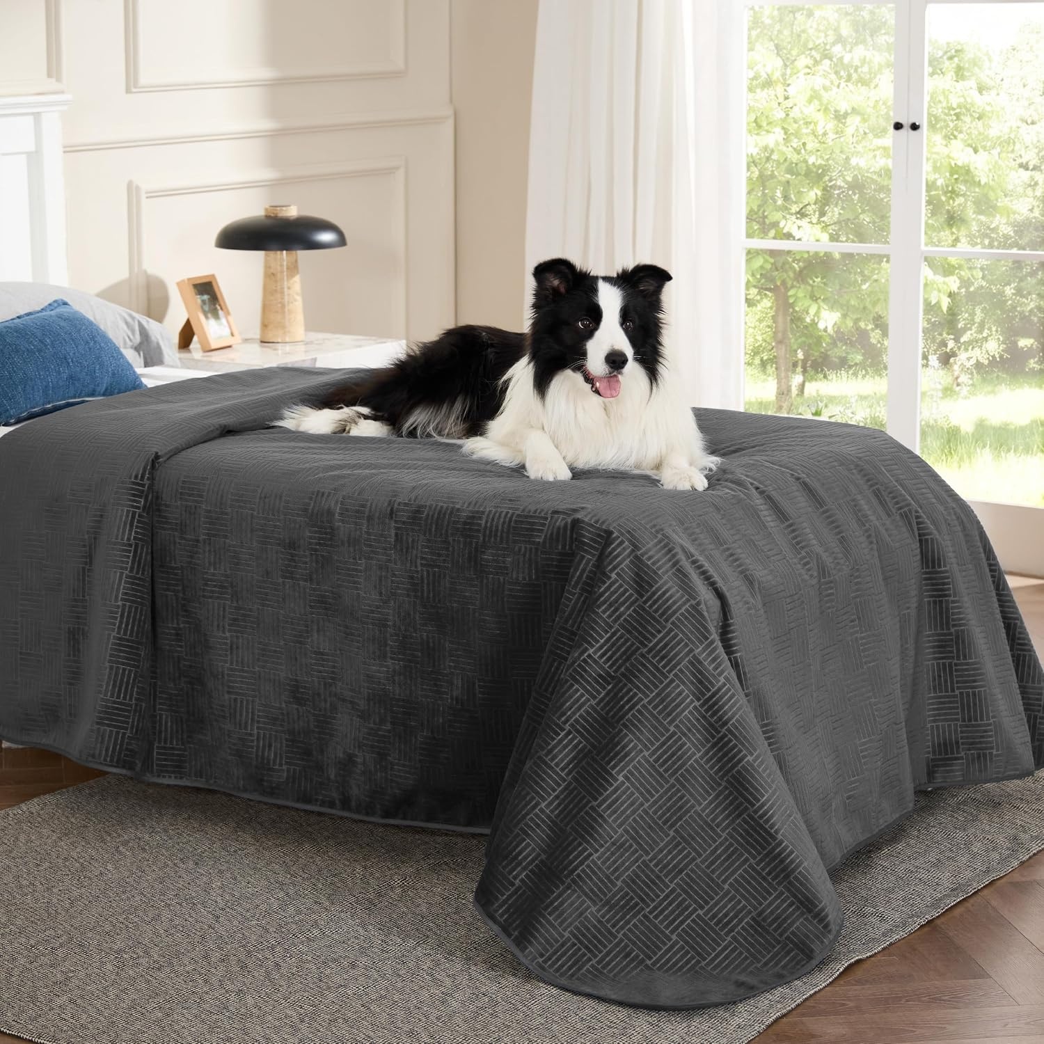 image:imageBedsure Waterproof Couch Cover for Sofa and Dogs Quick Drying 52x82IN Waterproof Blanket Washable for Large Dogs Couch Sofa Bed Cozy Lightweight Furniture Protector for Pet Cat Ash GreyCharcoal