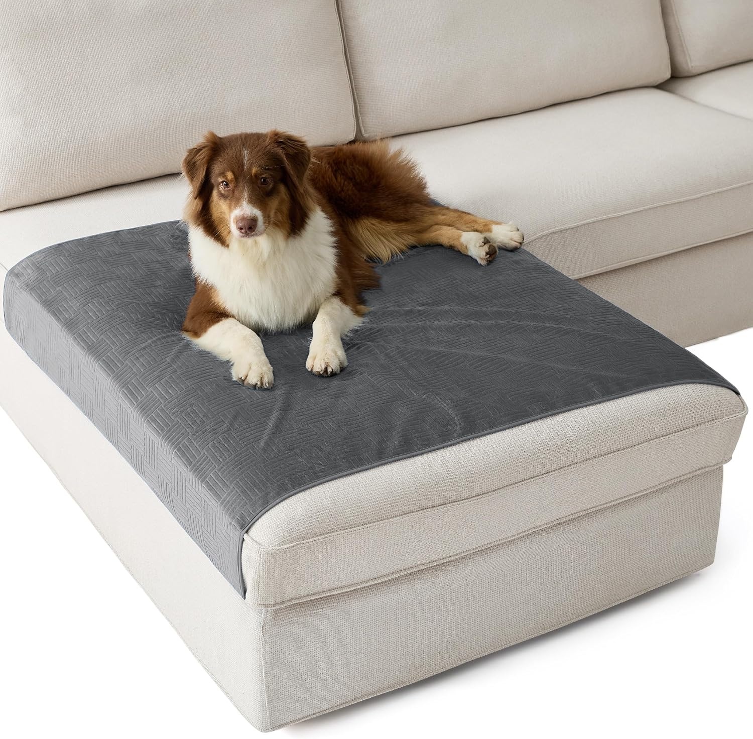 image:imageBedsure Waterproof Couch Cover for Sofa and Dogs Quick Drying 52x82IN Waterproof Blanket Washable for Large Dogs Couch Sofa Bed Cozy Lightweight Furniture Protector for Pet Cat Ash GreyAsh Grey