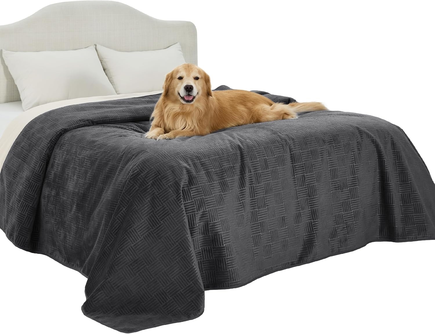 image:imageBedsure Waterproof Couch Cover for Sofa and Dogs Quick Drying 52x82IN Waterproof Blanket Washable for Large Dogs Couch Sofa Bed Cozy Lightweight Furniture Protector for Pet Cat Ash GreyCharcoal