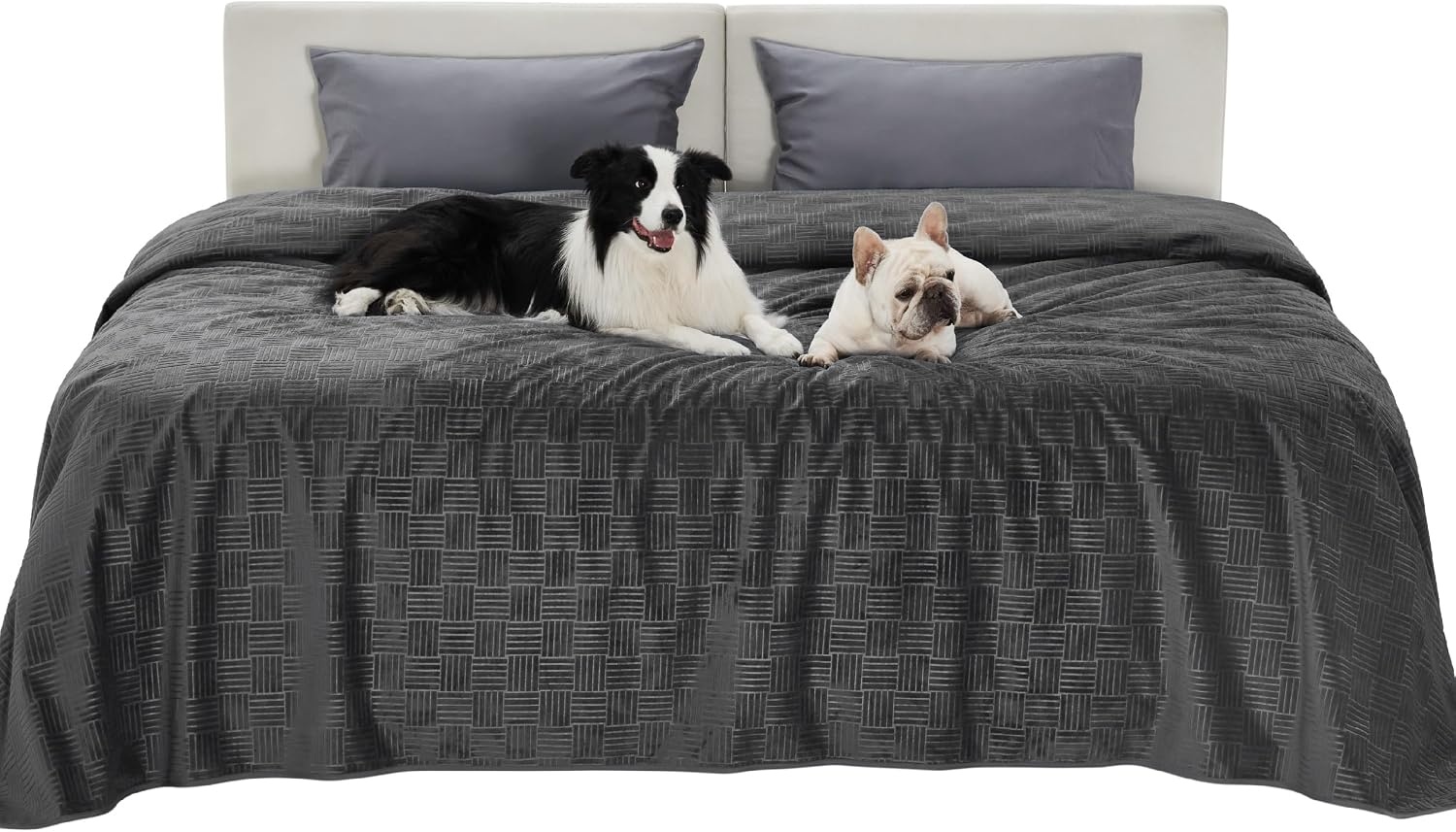 image:imageBedsure Waterproof Couch Cover for Sofa and Dogs Quick Drying 52x82IN Waterproof Blanket Washable for Large Dogs Couch Sofa Bed Cozy Lightweight Furniture Protector for Pet Cat Ash GreyCharcoal