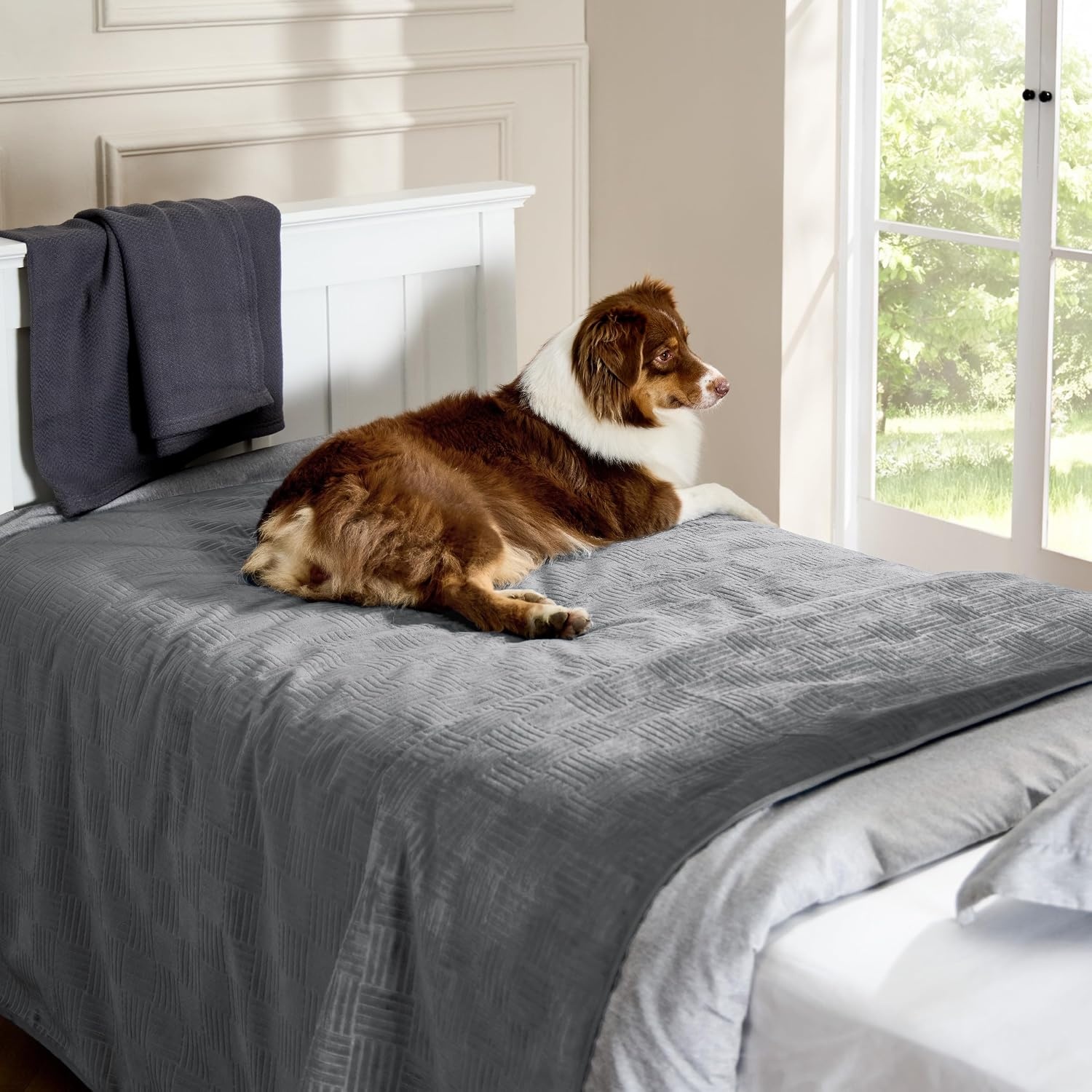 image:imageBedsure Waterproof Couch Cover for Sofa and Dogs Quick Drying 52x82IN Waterproof Blanket Washable for Large Dogs Couch Sofa Bed Cozy Lightweight Furniture Protector for Pet Cat Ash GreyAsh Grey