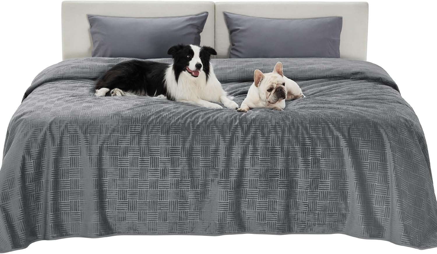 image:imageBedsure Waterproof Couch Cover for Sofa and Dogs Quick Drying 52x82IN Waterproof Blanket Washable for Large Dogs Couch Sofa Bed Cozy Lightweight Furniture Protector for Pet Cat Ash GreyAsh Grey