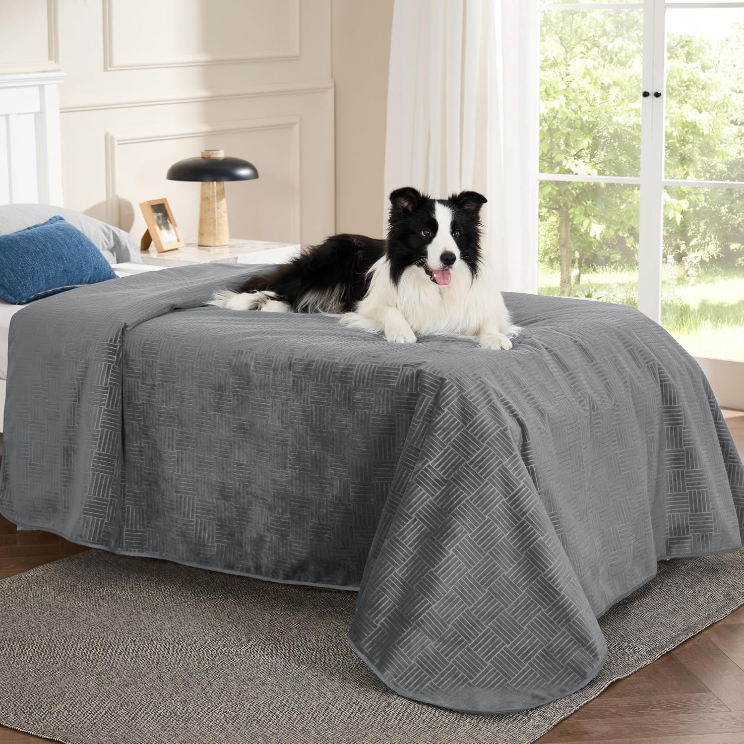 image:imageBedsure Waterproof Couch Cover for Sofa and Dogs Quick Drying 52x82IN Waterproof Blanket Washable for Large Dogs Couch Sofa Bed Cozy Lightweight Furniture Protector for Pet Cat Ash GreyAsh Grey