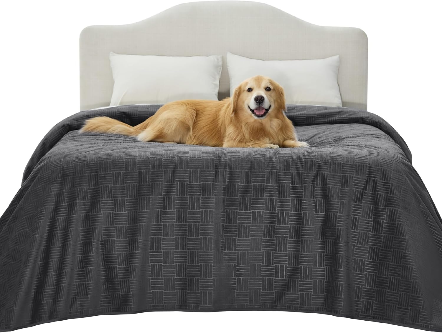 image:imageBedsure Waterproof Couch Cover for Sofa and Dogs Quick Drying 52x82IN Waterproof Blanket Washable for Large Dogs Couch Sofa Bed Cozy Lightweight Furniture Protector for Pet Cat Ash GreyCharcoal