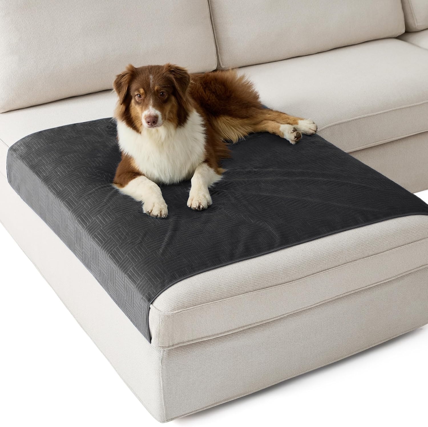 image:imageBedsure Waterproof Couch Cover for Sofa and Dogs Quick Drying 52x82IN Waterproof Blanket Washable for Large Dogs Couch Sofa Bed Cozy Lightweight Furniture Protector for Pet Cat Ash GreyCharcoal