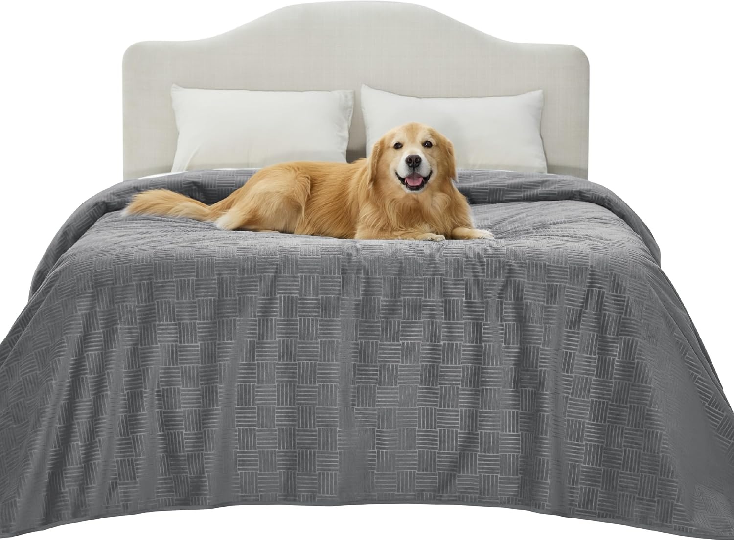 image:imageBedsure Waterproof Couch Cover for Sofa and Dogs Quick Drying 52x82IN Waterproof Blanket Washable for Large Dogs Couch Sofa Bed Cozy Lightweight Furniture Protector for Pet Cat Ash GreyAsh Grey