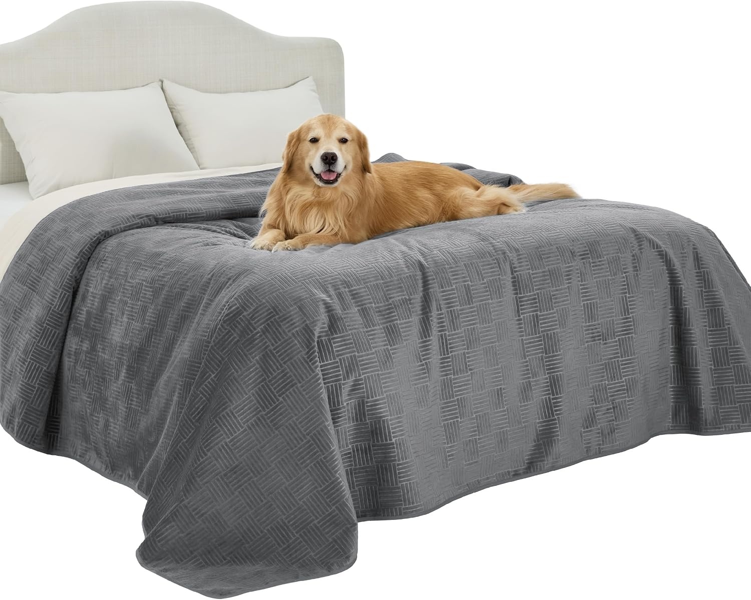 image:imageBedsure Waterproof Couch Cover for Sofa and Dogs Quick Drying 52x82IN Waterproof Blanket Washable for Large Dogs Couch Sofa Bed Cozy Lightweight Furniture Protector for Pet Cat Ash GreyAsh Grey