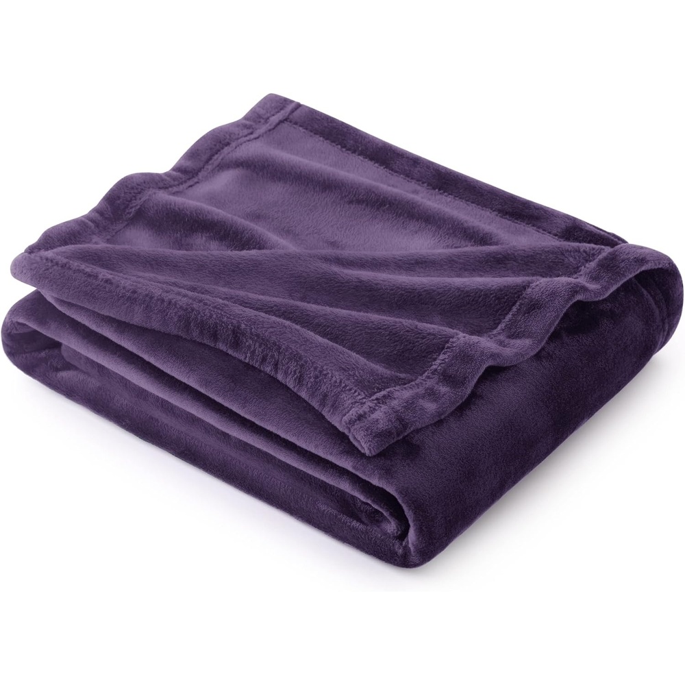 image:imageBedsure GentleSoft Fleece Bed Blankets Queen Size Grey  Soft Warm Outdoor Picnic Fall Blanket for Camping Travel Lightweight Cozy AntiStatic Room Home Decor Gifts for Husband and Men 90x90 inchesPurple