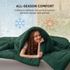 Bedsure Comforter Duvet Insert – Quilted Comforters Queen Size, All Season Duvet, GentleSoft Down Alternative Bedding Blanket, with 8 Tabs, Gifts for Women/Men, White, Queen 88 x 88 Inches(Green)