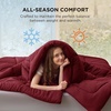 Bedsure Comforter Duvet Insert – Quilted Comforters Queen Size, All Season Duvet, GentleSoft Down Alternative Bedding Blanket, with 8 Tabs, Gifts for Women/Men, White, Queen 88 x 88 Inches(Burgundy)