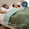 Bedsure Comforters Queen Size Duvet Insert, Quilted Down Alternative Comforter, Ultra Soft Lightweight Comforter Blanket for Bed, with 8 Tabs, Machine Washable, 88×88 in, White(Green/Light Green)