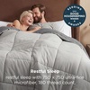 Bedsure Comforters Queen Size Duvet Insert, Quilted Down Alternative Comforter, Ultra Soft Lightweight Comforter Blanket for Bed, with 8 Tabs, Machine Washable, 88×88 in, White(Light Grey/Grey)