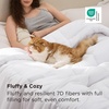 Bedsure Comforters Queen Size Duvet Insert, Quilted Down Alternative Comforter, Ultra Soft Lightweight Comforter Blanket for Bed, with 8 Tabs, Machine Washable, 88×88 in, White(White)