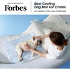 Bedsure Cooling Mat for Small Dogs,Washable Breathable QMax>0.4 Cool Fiber | 24x18In Gel-free Cool-to-touch Fabric to Rapid Cooling,Cold Crate Pad Indoor for Pet,Portable Thin Kennel Mat as Topper,Blue(Grey)