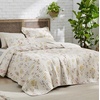 Bedsure Floral Quilts Queen Size, Reversible Botanical Floral Comforter | Bedding, Bedspread, Coverlet, Lightweight, All-Season Comfort, Green & White Plaid Parttern, Machine Washable, 90″x96″, 3 Pcs(07- Oat Milk)