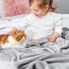 Bedsure GentleSoft Fleece Bed Blankets Queen Size Grey – Soft Warm Outdoor Picnic Fall Blanket for Camping Travel Lightweight Cozy Anti-Static, Room Home Decor Gifts for Husband and Men, 90×90 inches(Light Grey)