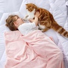 Bedsure GentleSoft Fleece Bed Blankets Queen Size Grey – Soft Warm Outdoor Picnic Fall Blanket for Camping Travel Lightweight Cozy Anti-Static, Room Home Decor Gifts for Husband and Men, 90×90 inches(05 – Pink)