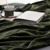 Bedsure GentleSoft Fleece Bed Blankets Queen Size Grey – Soft Warm Outdoor Picnic Fall Blanket for Camping Travel Lightweight Cozy Anti-Static, Room Home Decor Gifts for Husband and Men, 90×90 inches(Olive Green)