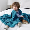 Bedsure GentleSoft Fleece Bed Blankets Queen Size Grey – Soft Warm Outdoor Picnic Fall Blanket for Camping Travel Lightweight Cozy Anti-Static, Room Home Decor Gifts for Husband and Men, 90×90 inches(Teal Blue)