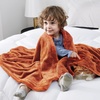 Bedsure GentleSoft Fleece Bed Blankets Queen Size Grey – Soft Warm Outdoor Picnic Fall Blanket for Camping Travel Lightweight Cozy Anti-Static, Room Home Decor Gifts for Husband and Men, 90×90 inches(Orange)
