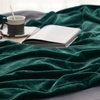 Bedsure GentleSoft Fleece Bed Blankets Queen Size Grey – Soft Warm Outdoor Picnic Fall Blanket for Camping Travel Lightweight Cozy Anti-Static, Room Home Decor Gifts for Husband and Men, 90×90 inches(Forest Green)