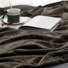 Bedsure GentleSoft Fleece Bed Blankets Queen Size Grey – Soft Warm Outdoor Picnic Fall Blanket for Camping Travel Lightweight Cozy Anti-Static, Room Home Decor Gifts for Husband and Men, 90×90 inches(Brown)
