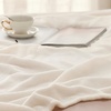 Bedsure GentleSoft Fleece Bed Blankets Queen Size Grey – Soft Warm Outdoor Picnic Fall Blanket for Camping Travel Lightweight Cozy Anti-Static, Room Home Decor Gifts for Husband and Men, 90×90 inches(04 – Cream)