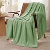 Bedsure GentleSoft Fleece Bed Blankets Queen Size Grey – Soft Warm Outdoor Picnic Fall Blanket for Camping Travel Lightweight Cozy Anti-Static, Room Home Decor Gifts for Husband and Men, 90×90 inches(Emerald)