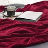 Bedsure GentleSoft Fleece Bed Blankets Queen Size Grey – Soft Warm Outdoor Picnic Fall Blanket for Camping Travel Lightweight Cozy Anti-Static, Room Home Decor Gifts for Husband and Men, 90×90 inches(Red)