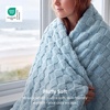 Bedsure GentleSoft Sage Green Throw Blanket for Couch – Checkered Cute Fleece Blankets, Soft Cozy Summer Throw for Bedroom Home Decor Gifts for Mom Girls, Green, 50×60 Inches(Light Blue)