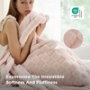 Bedsure GentleSoft Sage Green Throw Blanket for Couch – Checkered Cute Fleece Blankets, Soft Cozy Summer Throw for Bedroom Home Decor Gifts for Mom Girls, Green, 50×60 Inches(Light Pink)