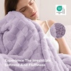 Bedsure GentleSoft Sage Green Throw Blanket for Couch – Checkered Cute Fleece Blankets, Soft Cozy Summer Throw for Bedroom Home Decor Gifts for Mom Girls, Green, 50×60 Inches(04 Lavender Fog)