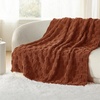 Bedsure GentleSoft Sage Green Throw Blanket for Couch – Checkered Cute Fleece Blankets, Soft Cozy Summer Throw for Bedroom Home Decor Gifts for Mom Girls, Green, 50×60 Inches(Burnt Orange)