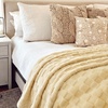 Bedsure GentleSoft Sage Green Throw Blanket for Couch – Checkered Cute Fleece Blankets, Soft Cozy Summer Throw for Bedroom Home Decor Gifts for Mom Girls, Green, 50×60 Inches(Light Yellow)