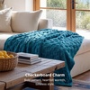 Bedsure GentleSoft Sage Green Throw Blanket for Couch – Checkered Cute Fleece Blankets, Soft Cozy Summer Throw for Bedroom Home Decor Gifts for Mom Girls, Green, 50×60 Inches(Teal)
